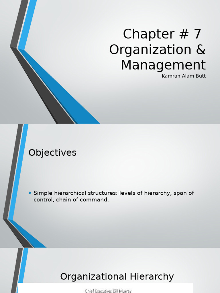 Chapter # 7 Organisation and Management | PDF