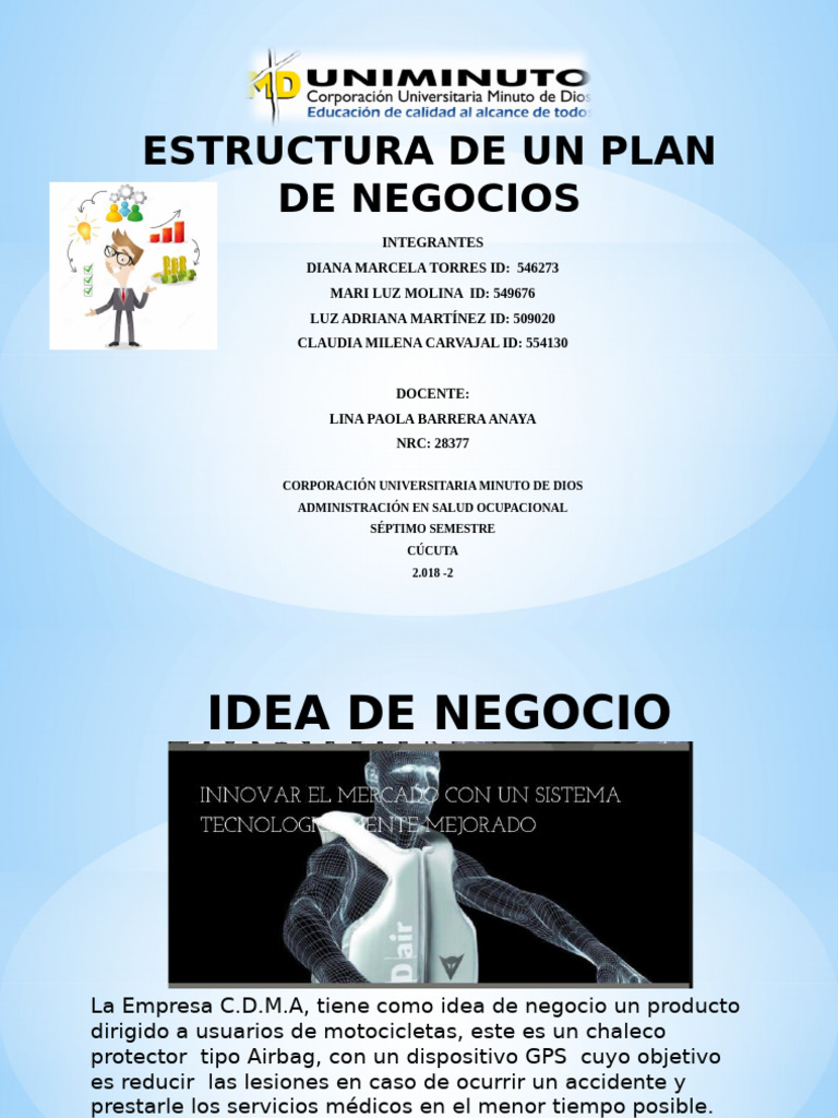 Estructura de Un Plan de Negocios | PDF | Negocios