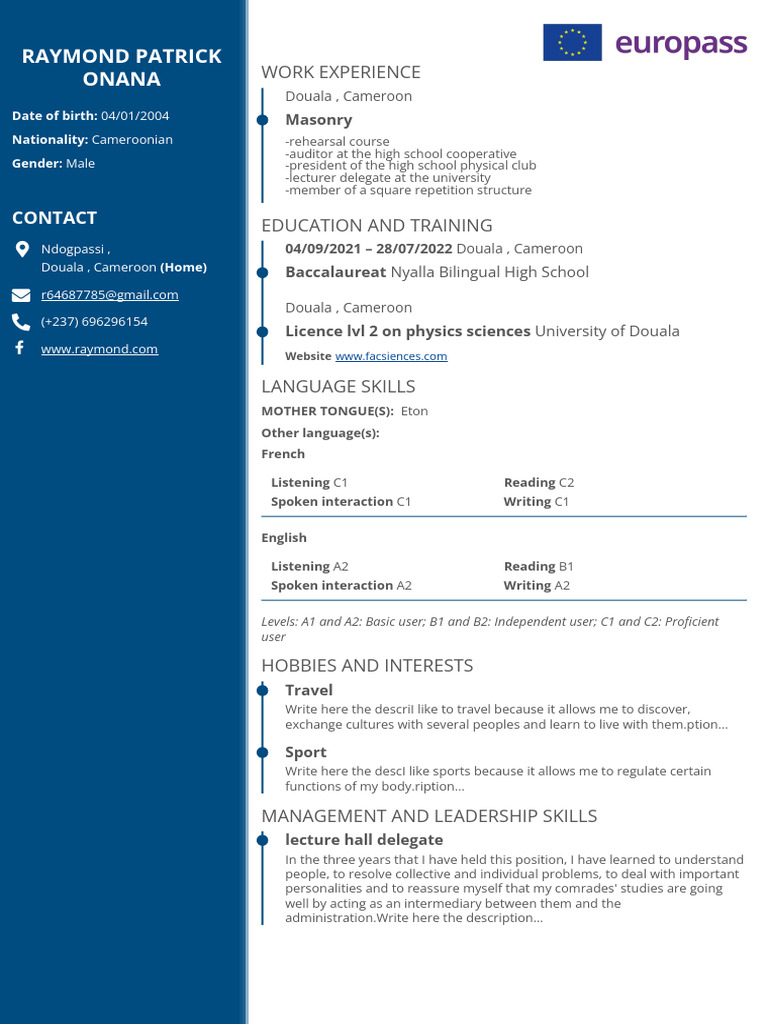 CV Pro | PDF