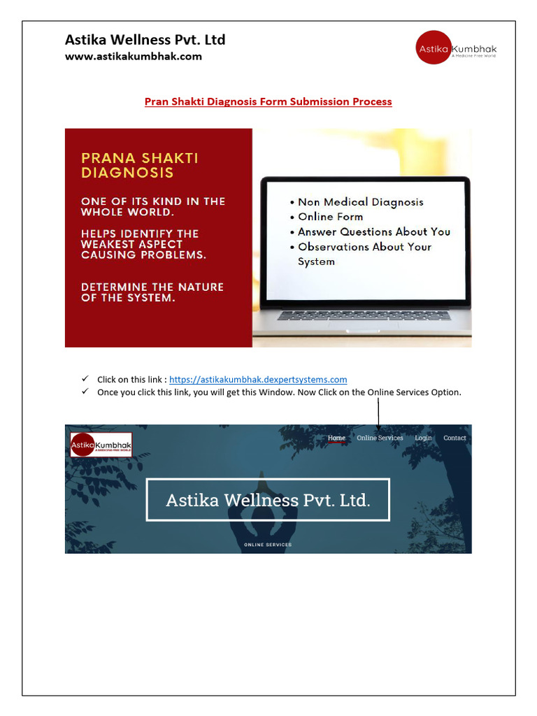 Pran Shakti Diagnosis Submission Guide | PDF | Breathing | Career & Growth