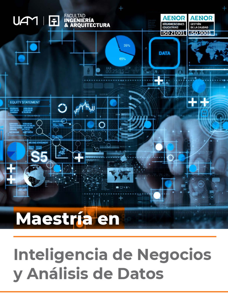 Maestría en Inteligencia de Negocios y Análisis de Datos | PDF