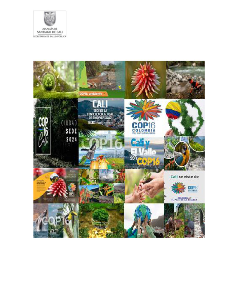 Simulacro Simulacion COP 16 | PDF