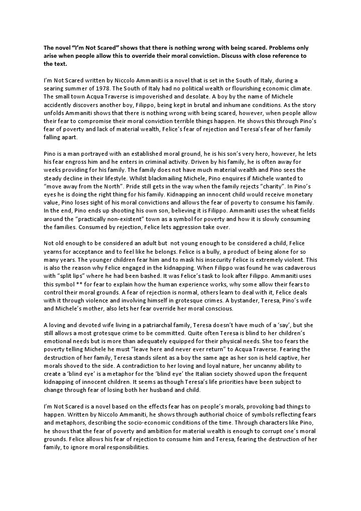 Im not scared essay fear image