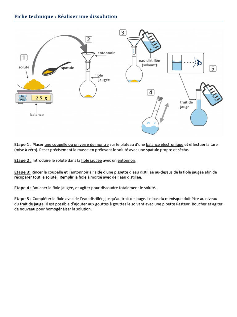 Mc3a9thodologie Protocole de La Dissolution | PDF