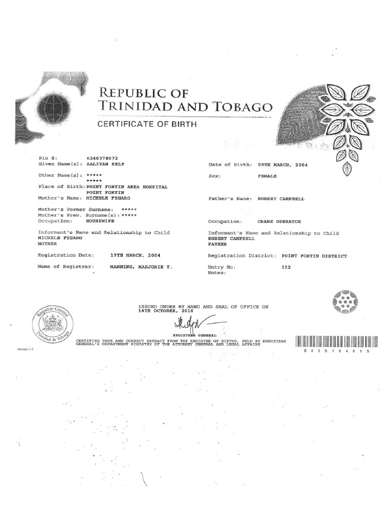 Birth Paper | PDF