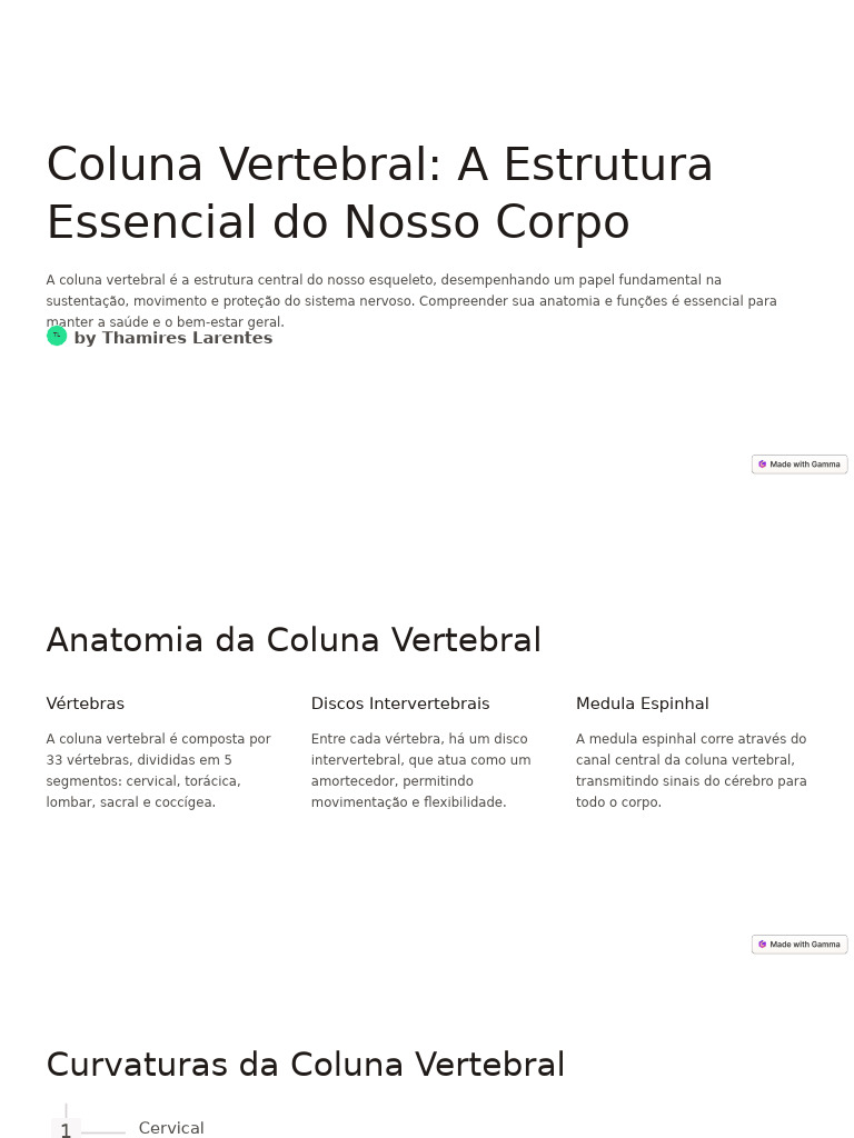 Anatomia e Funções da Coluna Vertebral | PDF | Vertebra | Skeletal System