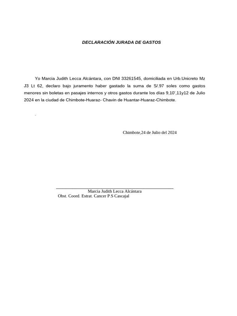 Modelo De Declaracion Jurada De Gastos Sin Comprobant Vrogue ...