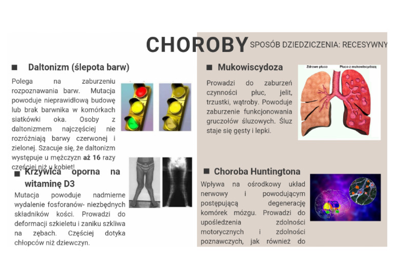 Mutacje I Choroby Genetyczne Sprawdzian 1 Liceum MUTACJE I CHOROBY GENETYCZNE_20241007_221849_0009-2 | PDF
