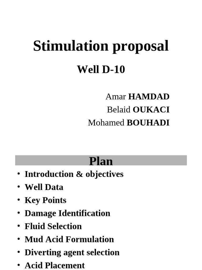 Project D10 | PDF