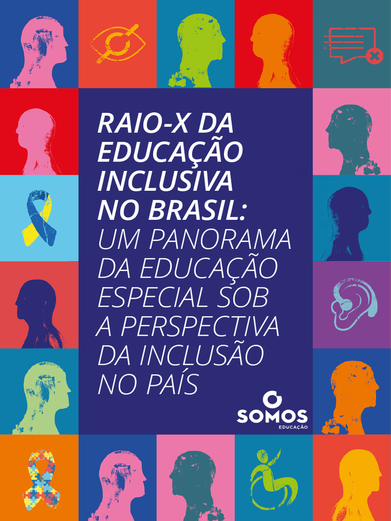 Panorama da Educação Inclusiva no Brasil | PDF | Educação Especial ...