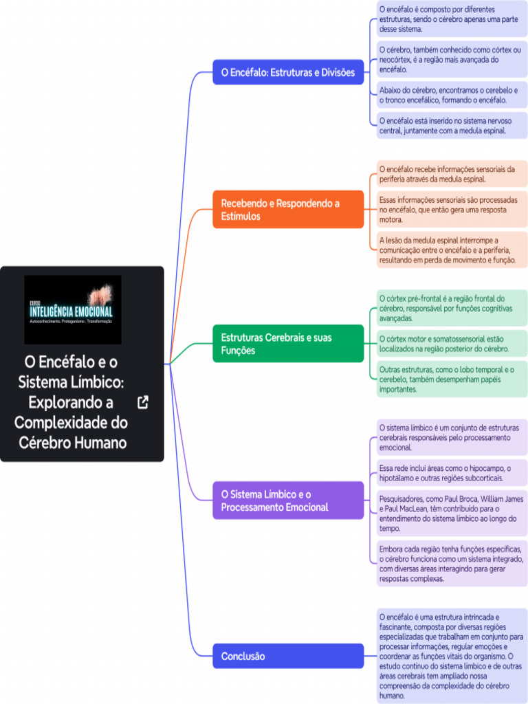 Mapa Mental Aula 2 | PDF