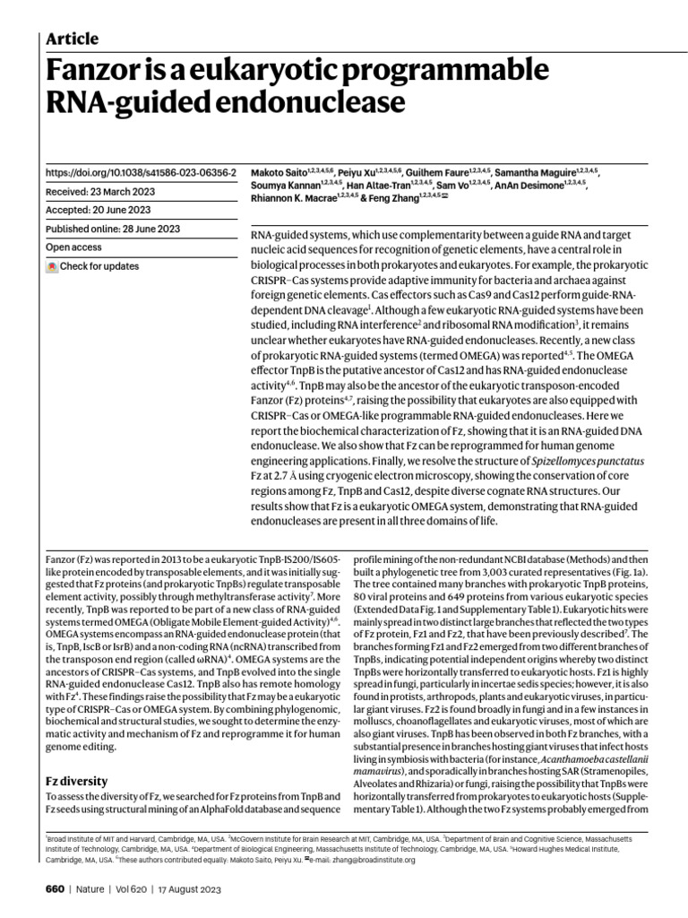 Fanzor Is A Eukaryotic Programmable RNA-guided Endonuclease: Article | PDF
