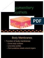 Integumentary System