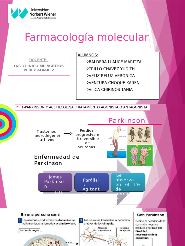 Grupo 3 Farmaco | PDF