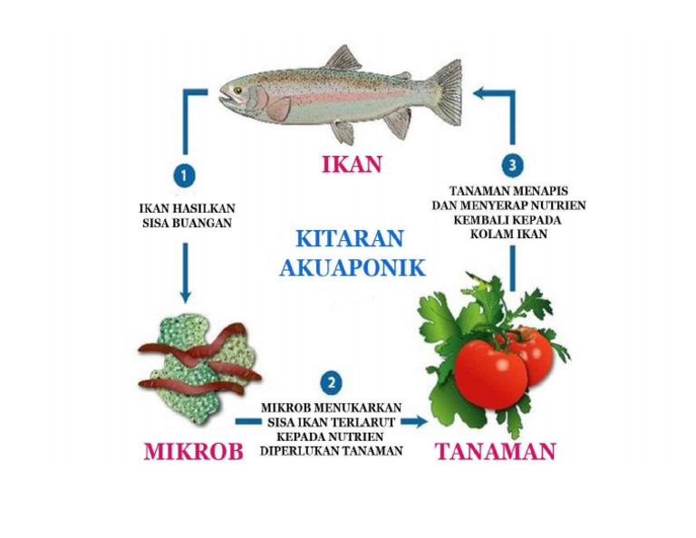 KITARAN | PDF