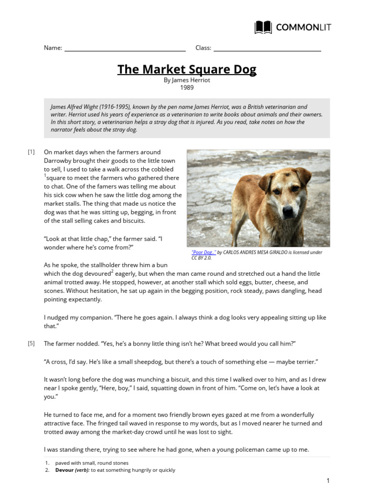 The Market Square Dog: A Tale of Rescue | PDF