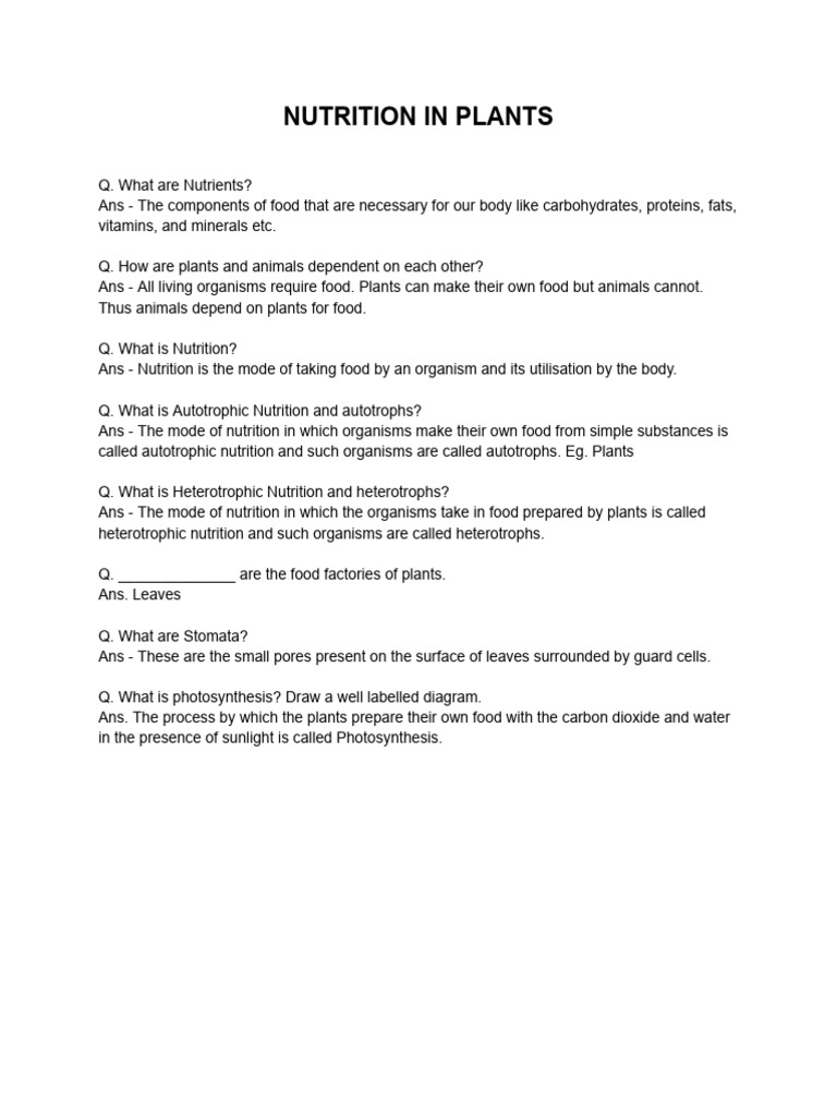 NUTRITION IN PLANTS EXERCISE QUESTION ANSWERS visual data 6