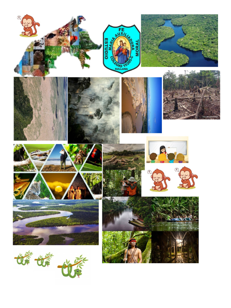 Figuras de Ruby Selva | PDF