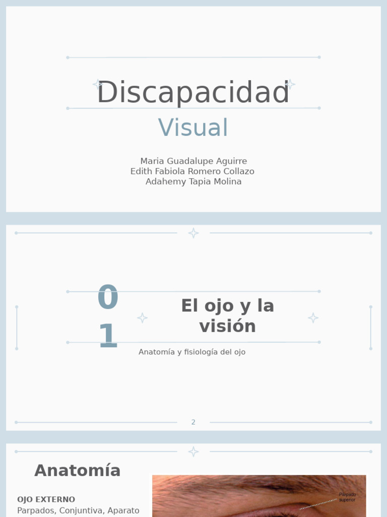 Discapacidad Visual Ada | PDF