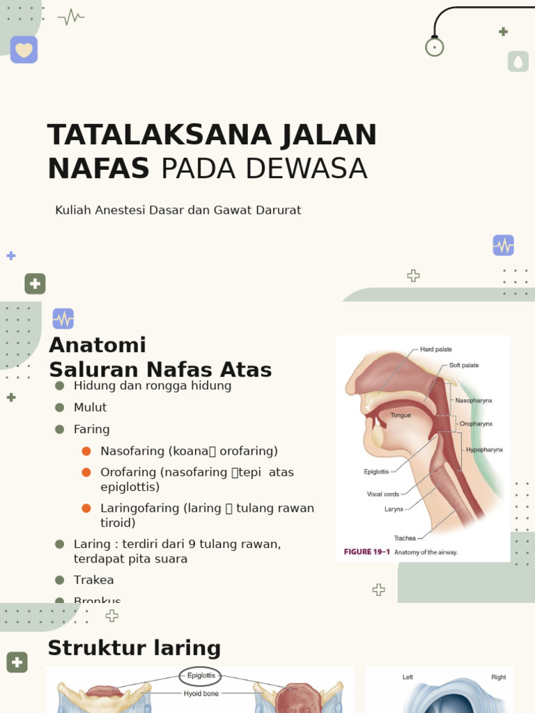 Airway Management Pdf