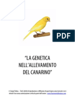 Genetica Del Canarino