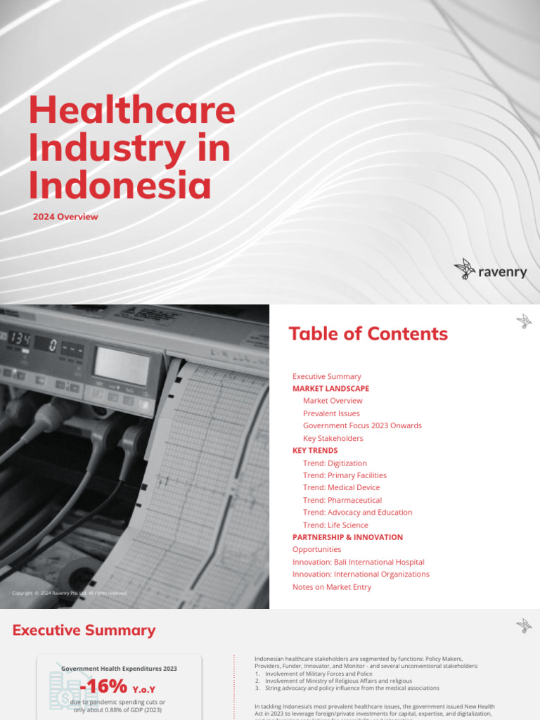 Healthcare-Industry-in-Indonesia 2024 | PDF