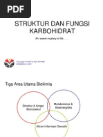 Download Struktur karbohidrat by Ersan Yudhapratama Muslih SN77749509 doc pdf