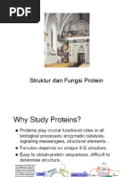 Download Struktur Dan Fungsi Protein by Ersan Yudhapratama Muslih SN77750031 doc pdf