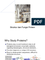 Struktur Dan Fungsi Protein