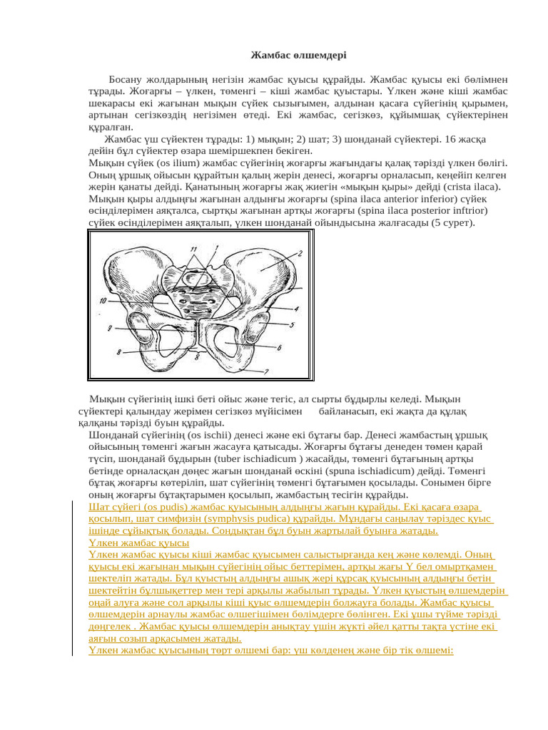 Еркектің ешкімен жыныстық қатынасқа түскенін онлайн көру