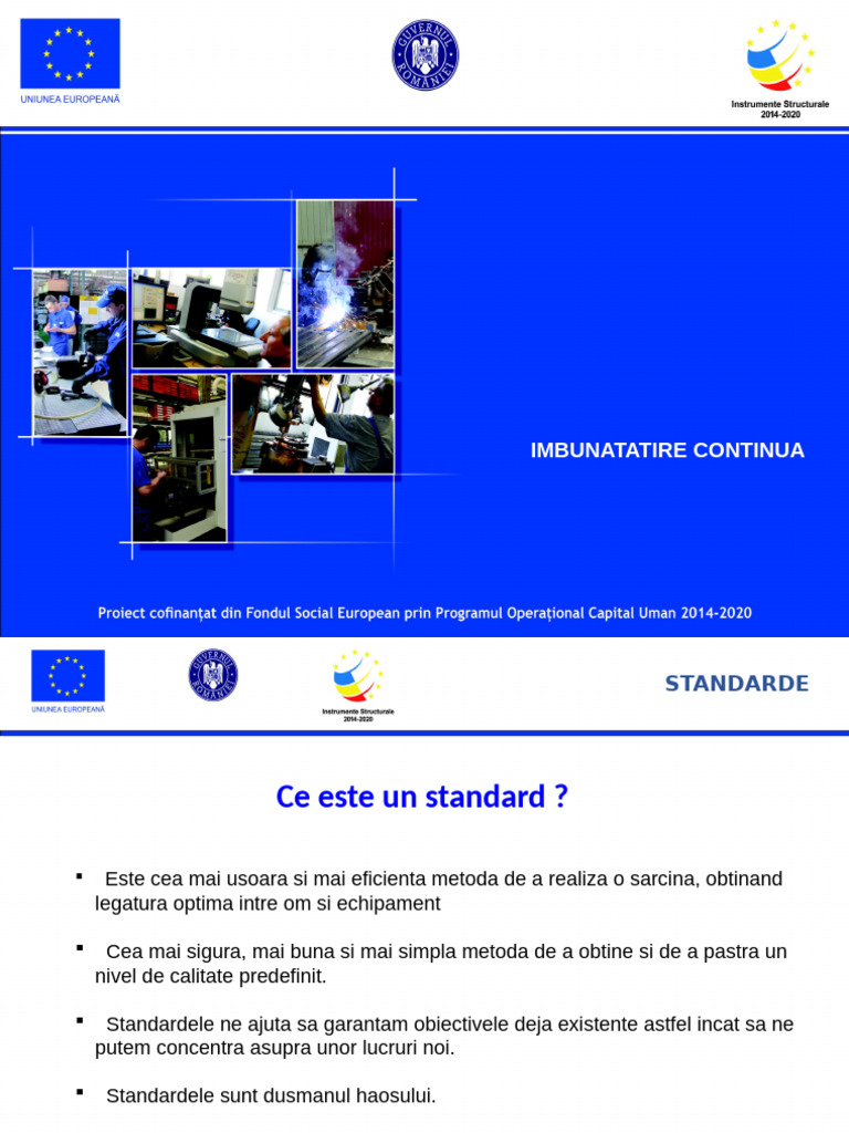04 Standarde | PDF