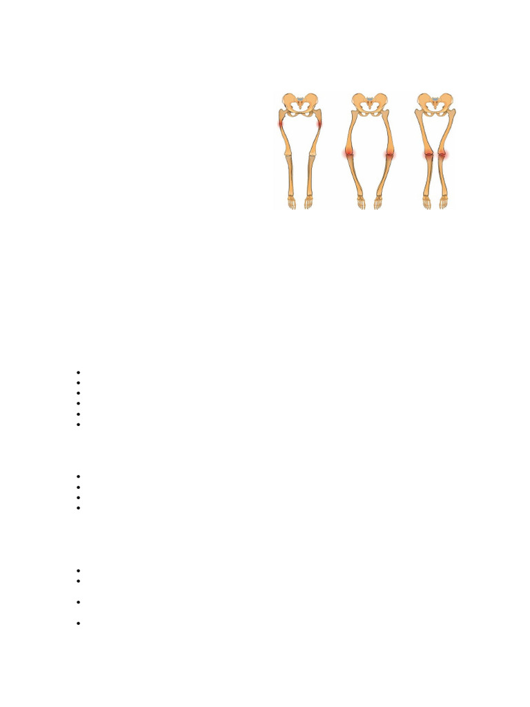 Rakitis | PDF | Kesehatan Holistik