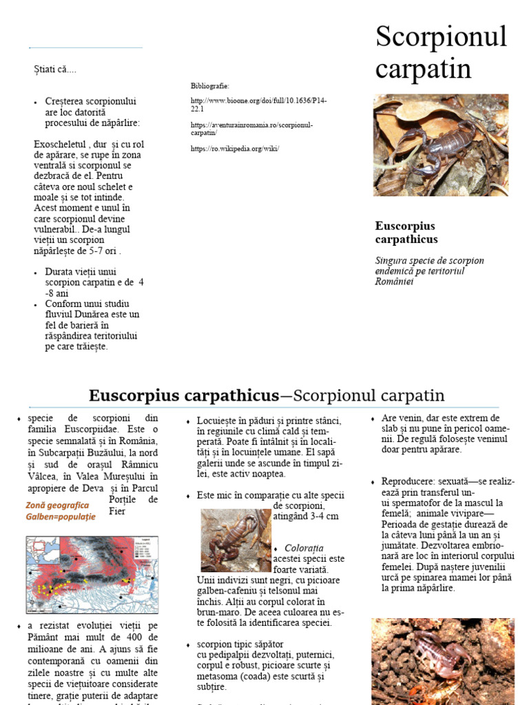 Scorpionul Carpatin | PDF