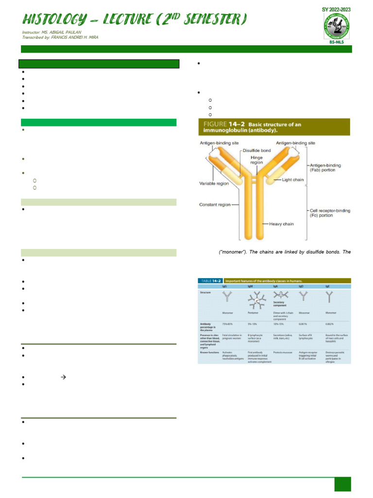 Lymphoid Organs and Immune System Overview | PDF | Lymph Node ...