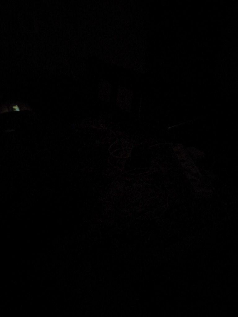 Light pdf