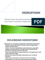 HIDROPONIK