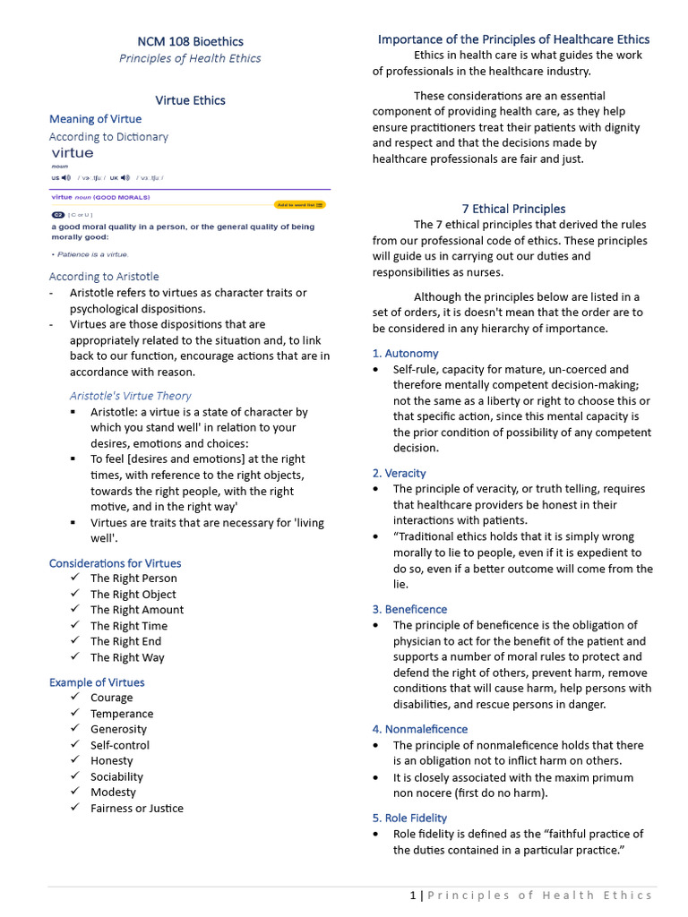 Principles of Health Ethics | PDF