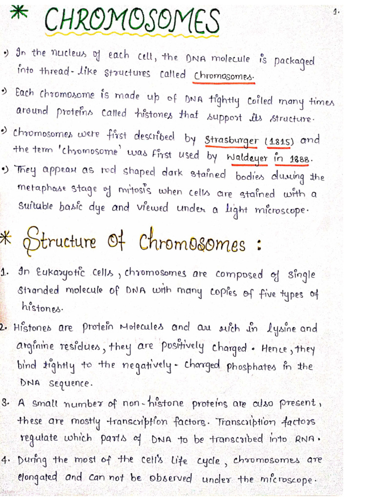 Chromosomes PDF | PDF