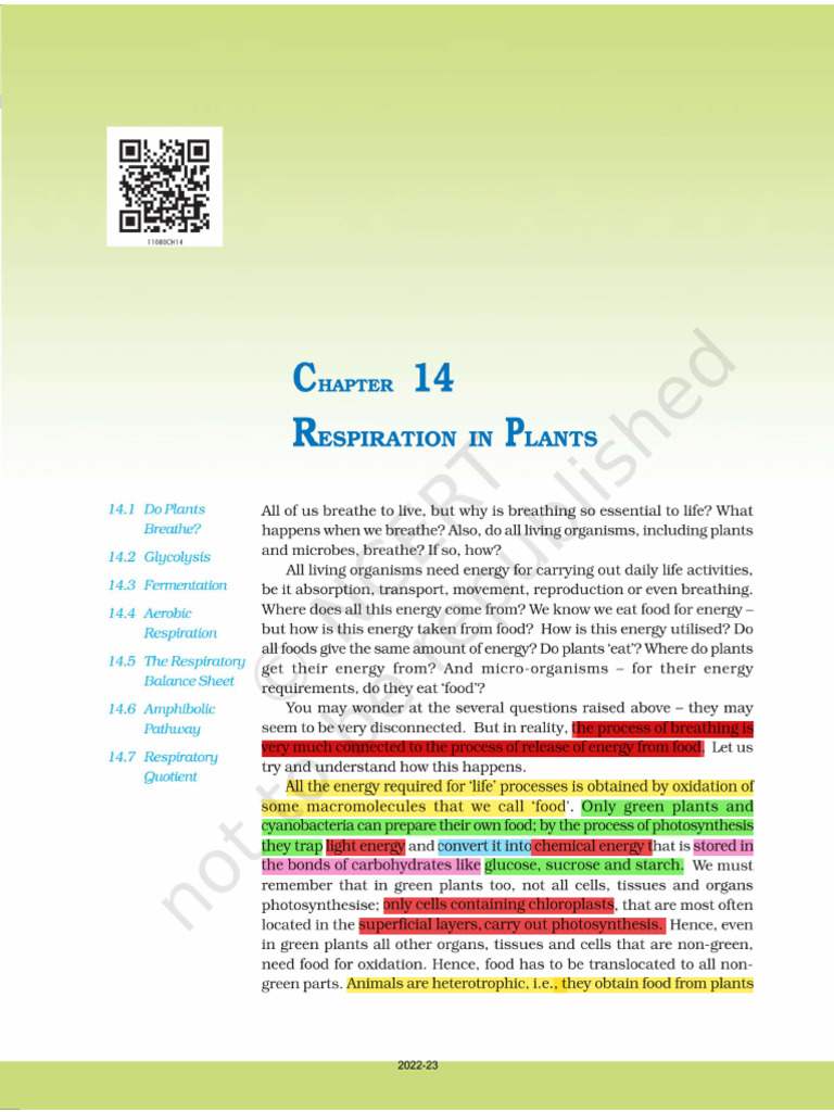 Respiration in Plants NCERT | PDF