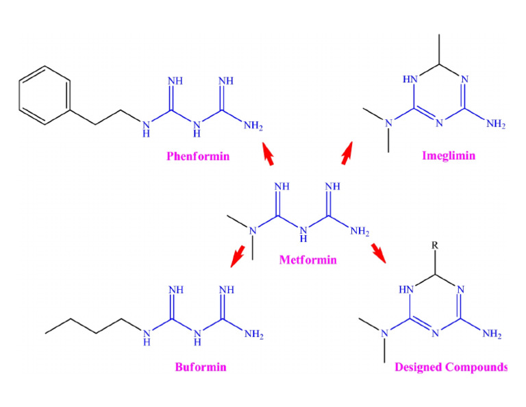 Chemical Structure of Some Metformin Derivatives and Designed Compounds ...