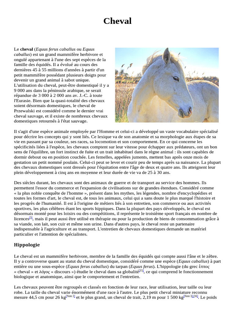 cheval 2 | PDF