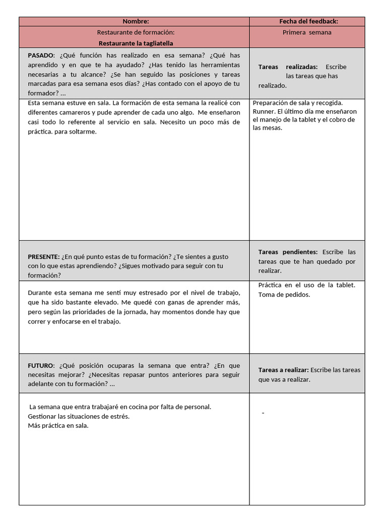Plantilla Feedback Pdf Pdf