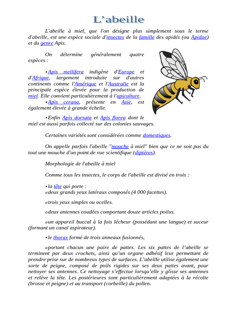 abeille-pdf