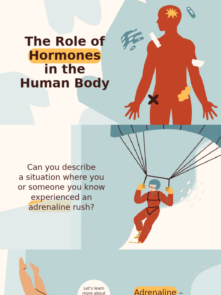 The Role of Hormones in The Human Body Education Presentation in Beige ...