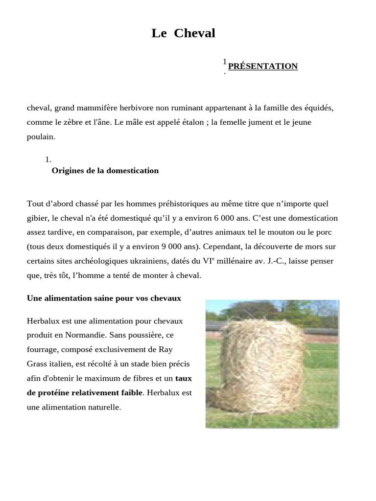 Cheval | PDF