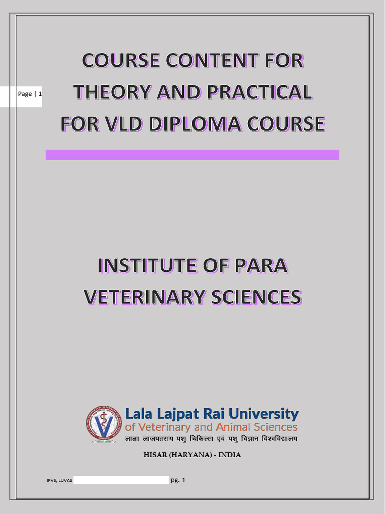 Luvas VLDD Syllabus | PDF
