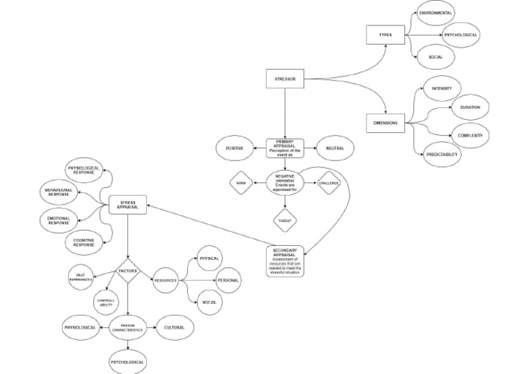 A General Model of The Stress Process | PDF