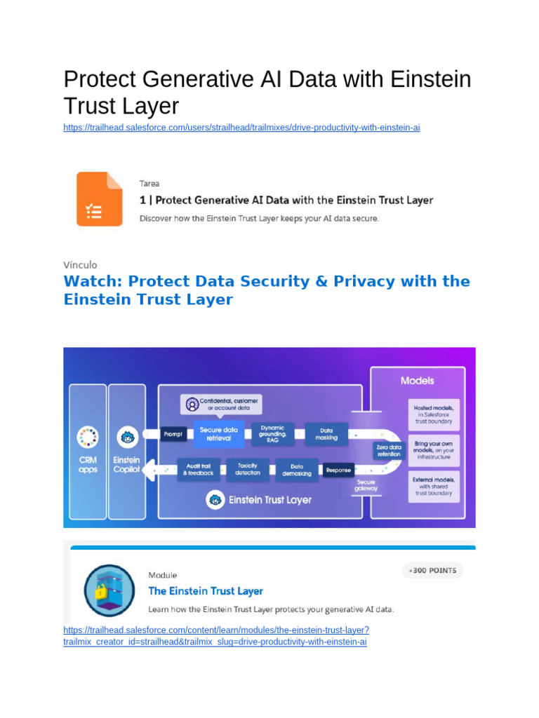 Protect Generative AI Data With Einstein Trust Layer | PDF | Artificial ...