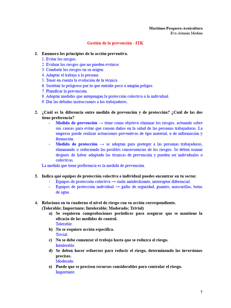 Gestión de La Prevención - ITK | PDF