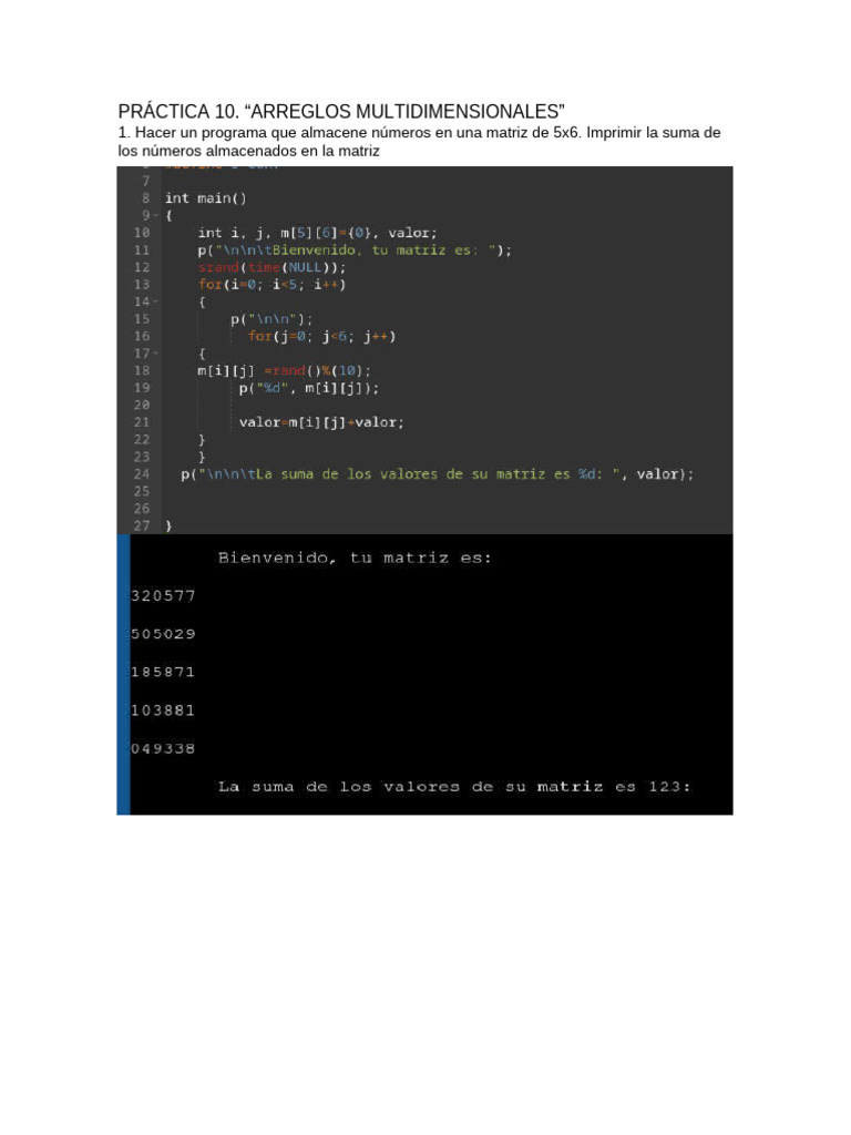 PRÁCTICA 10 Programacion | PDF